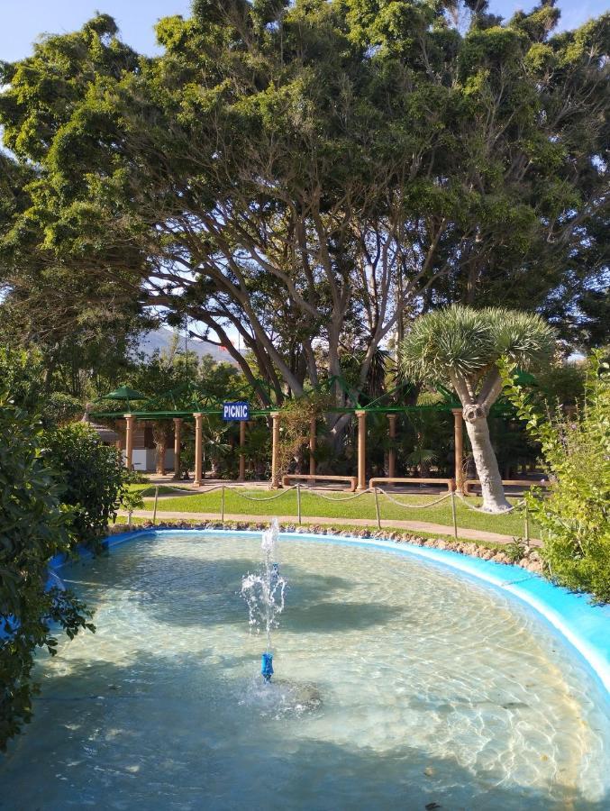 Estudio Terraza Vista Mar Parking Gratuito Piscinas ベナルマデナ エクステリア 写真